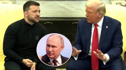 Donald Trump On Volodymyr Zelenskyy