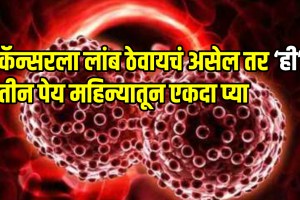 Healthy food will reduce chances of cancer three drinks that can lower cancer risk