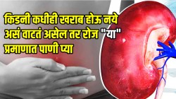 किडनी कधीही खराब होऊ नये असं वाटतं असेल तर रोज “या” प्रमाणात पाणी प्या; डॉक्टरांनी सांगितले परिणाम