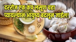 दररोज एक कप लसूण चहा प्यायल्यानं आयुष्य बदलून जाईल! शरिरात होणारे चमत्कारिक बदल पाहून थक्क व्हाल