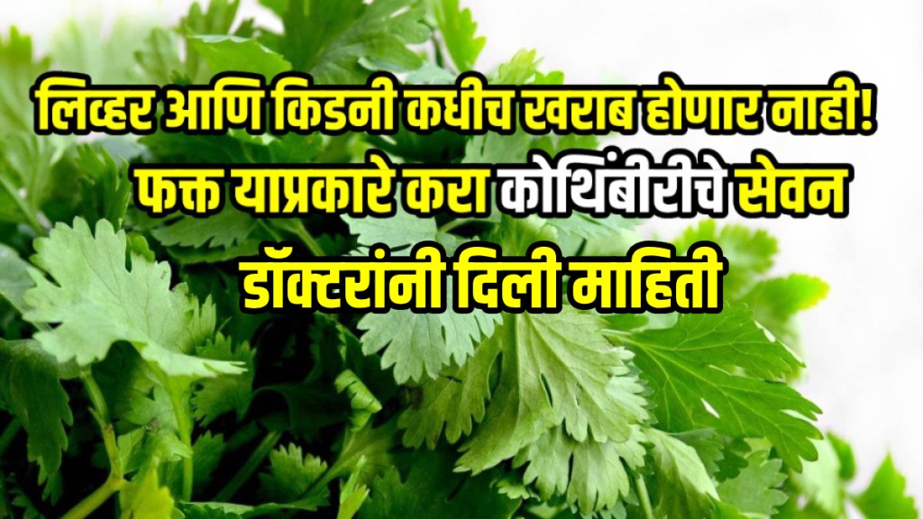 Coriander benefits for liver kidney detox and control cholesterol