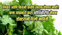 लिव्हर आणि किडनी कधीच खराब होणार नाही! कोलेस्ट्रॉलही होईल कमी; फक्त डॉक्टरांनी सांगितले तसे करा कोथिंबीरीचे सेवन