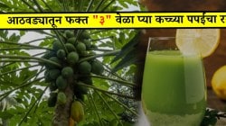 आठवड्यातून फक्त ३ वेळा कच्च्या पपईचा रस प्या; शरीरातील सगळी घाण निघून जाईल, आहारतज्ज्ञांनी दिली आश्चर्यकारक माहिती…