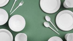 Why Plastic is harmful for environment