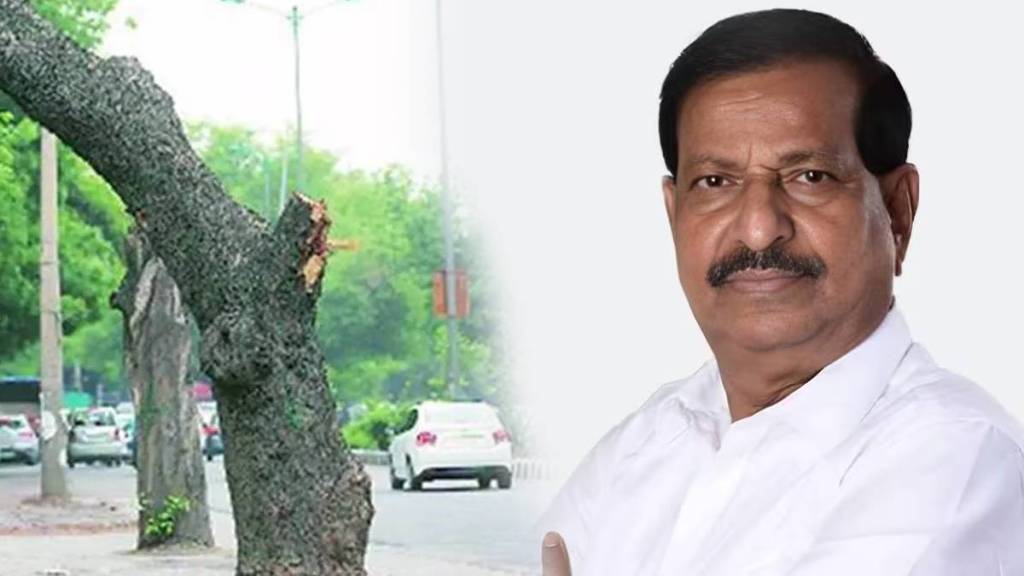 tree felling bill Maharashtra