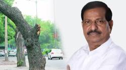 विधेयक मागे घेण्याची नामुष्की, बेकायदा वृक्षतोडीला यापुढे हजार रुपये दंड