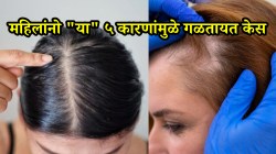 Hair fall reasons: केस गळतीनं वैतागला आहात? “ही” पाच कारण आहेत ज्यामुळे केस गळतायत; वेळीच ओळखा अन् फक्त हा एक उपाय करा