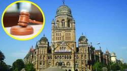 निवासी प्रमाणपत्र नसलेल्या इमारतींवर कारवाई की डोळेझाक ? उच्च न्यायालयाची महापालिकेला विचारणा