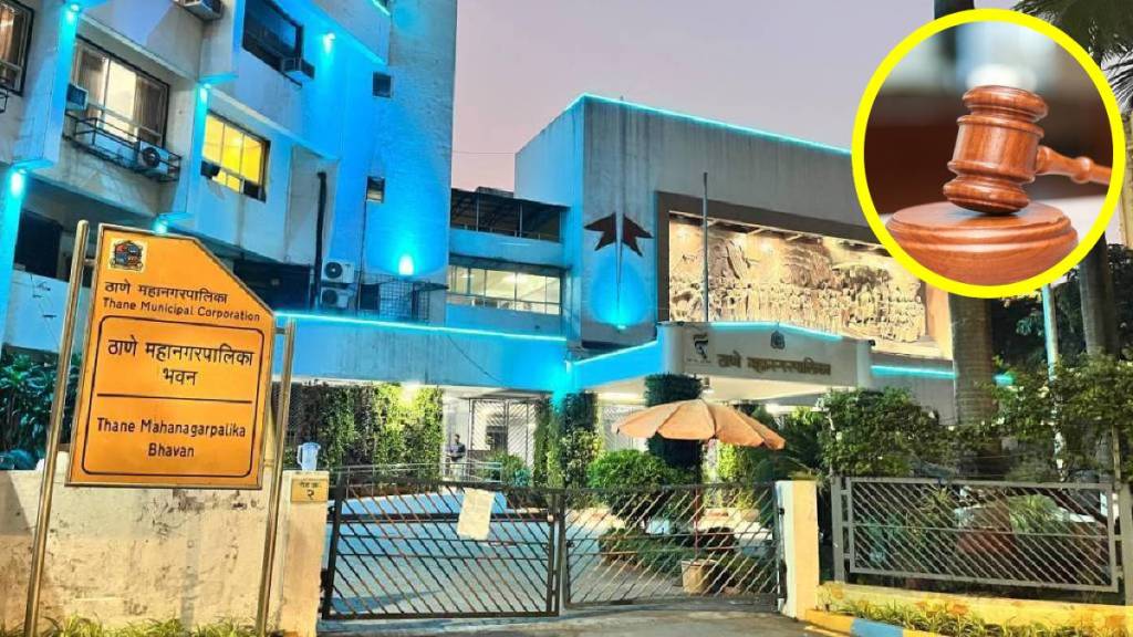 येऊरच्या जंगलातील नऊ टर्फ मैदाने बंद किंवा जमीनदोस्त, ठाणे पालिकेची उच्च न्यायालयात माहिती (image credit - loksatta graphics/pixabay)