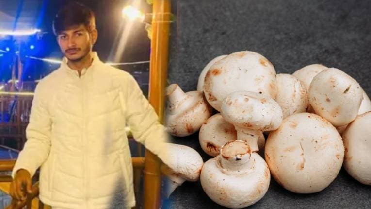 Success Story: अभ्यासाच्या भीतीने १७ व्या वर्षी सुरू केला स्वतःचा व्यवसाय अन् झाला लखपती; वार्षिक उत्पन्न १८ लाख