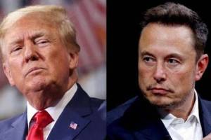 Elon Musk Political Party