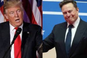 Elon Musk Political Party