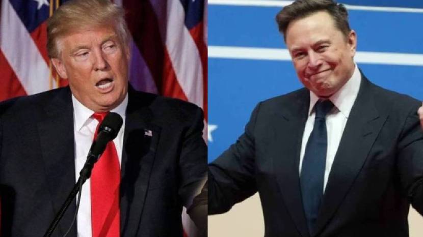 Elon Musk Political Party