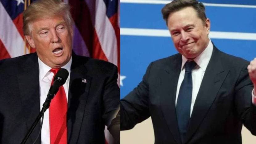 Donald Trump Vs Elon Musk