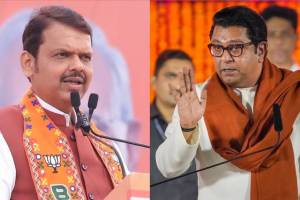 Devendra Fadnavis On Mira Bhayandar MNS Morcha: