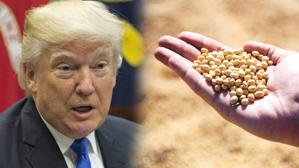 Donald trump decision on biofuels