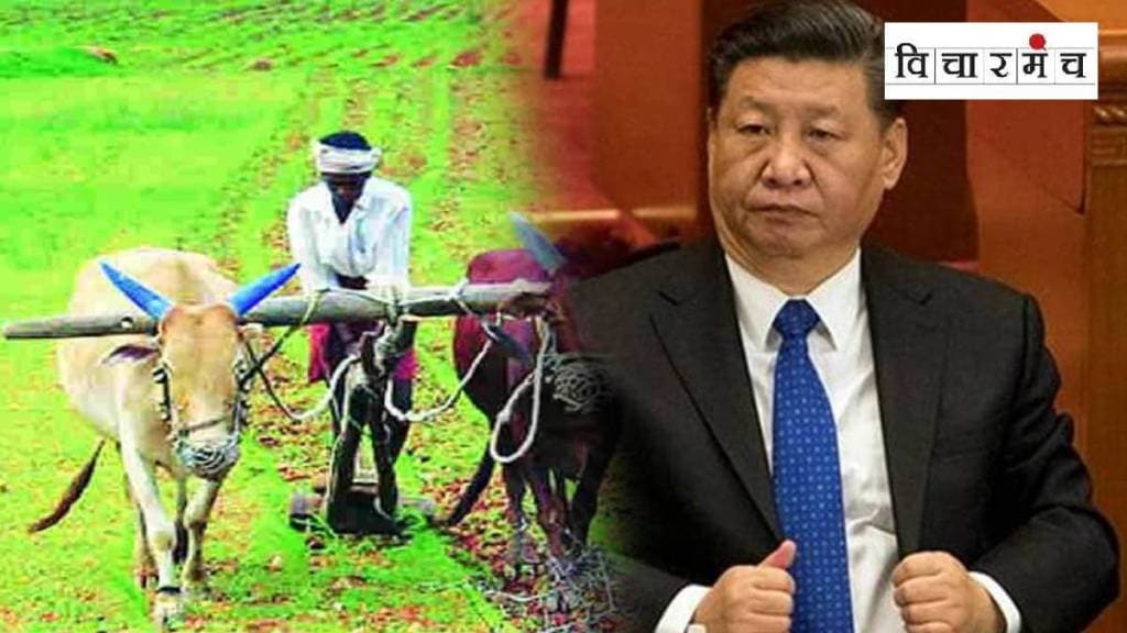 china fertilizers latest marathi news,