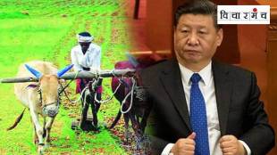 china fertilizers latest marathi news,