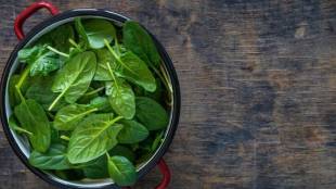 Monsoon Food Storage Tips