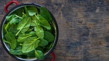 Monsoon Food Storage Tips Monsoon Food Storage Tips