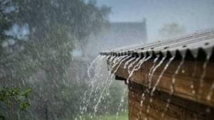 Monsoon to Turn Active Again After Weeklong Break maharashtra