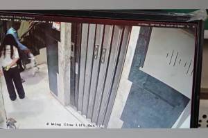 Cat killed in thane Pachpakhadi area after security guard hit it while chasing away