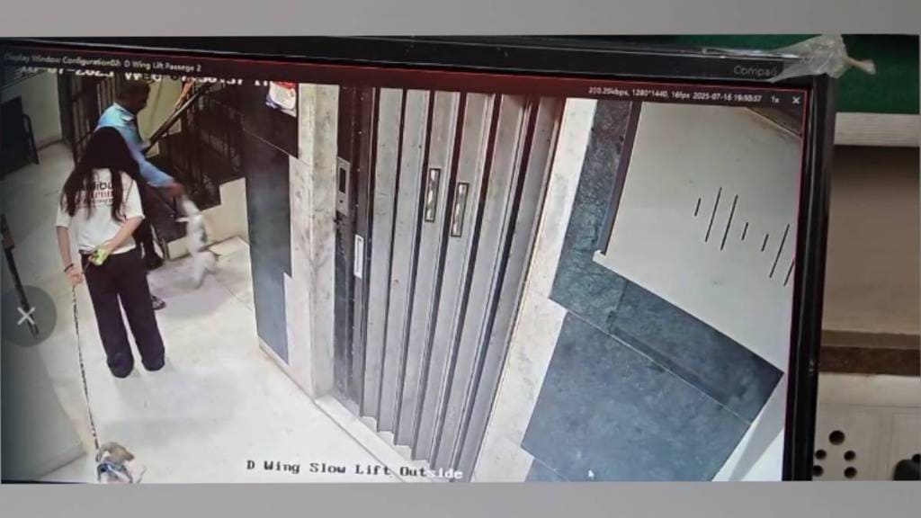 Cat killed in thane Pachpakhadi area after security guard hit it while chasing away