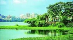 पवई तलावाची संयुक्त पाहणी करण्याचे राष्ट्रीय हरित लवादाचे आदेश