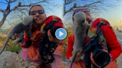 अरे बापरे, माकडाने महिलेला लाडीगोडी लावून तिचे चुंबन घेतले अन्…, VIDEO पाहून नेटकरी म्हणाले, “हा प्राणी खूप…”