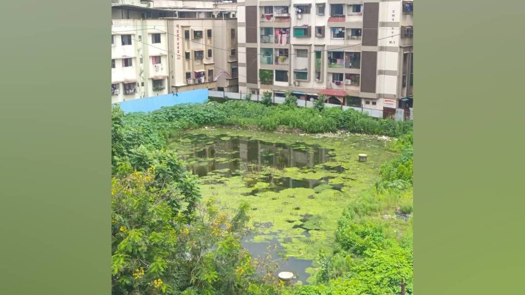incomplete bhayander building project causes waterlogging and mosquito breeding locals suffering