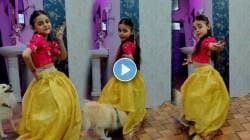 “निंबुडा निंबुडा निंबुडा”, गाण्यावर चिमुकलीने श्वानाबरोबर धरला ठेका, VIDEO पाहून कराल कौतुक