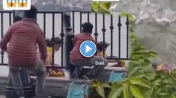 तो वाचवायला आला, इतक्यात तिने उडी मारली पाण्यात, महिलेच्या आत्महत्येचा धक्कादायक VIDEO