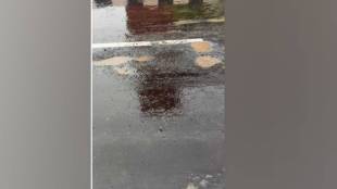 Potholes on newly opened Katai nilje flyover MNS leader raju Patil targets MSRDC on Twitter