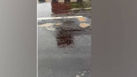 Potholes on newly opened Katai nilje flyover MNS leader raju Patil targets MSRDC on Twitter