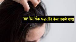 पांढऱ्या केसांना नैसर्गिक पद्धतीने काळे करण्यासाठी ‘हा’ एक सोपा उपाय ठरेल फायदेशीर