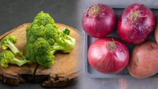 Monsoon Food Storage Tips