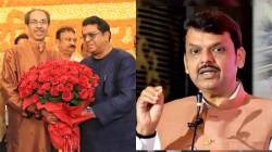 Devendra Fadnavis : राज ठाकरेंनी मातोश्रीवर जाऊन उद्धव ठाकरेंची भेट घेतली; देवेंद्र फडणवीस म्हणाले, “राजकारण…”