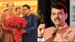 Devendra Fadnavis On Raj Thackeray went to Matoshree and mets Uddhav Thackeray