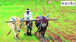 जागतिक निसर्ग संवर्धन दिनी शेतकऱ्यांचा विचार हवा… 