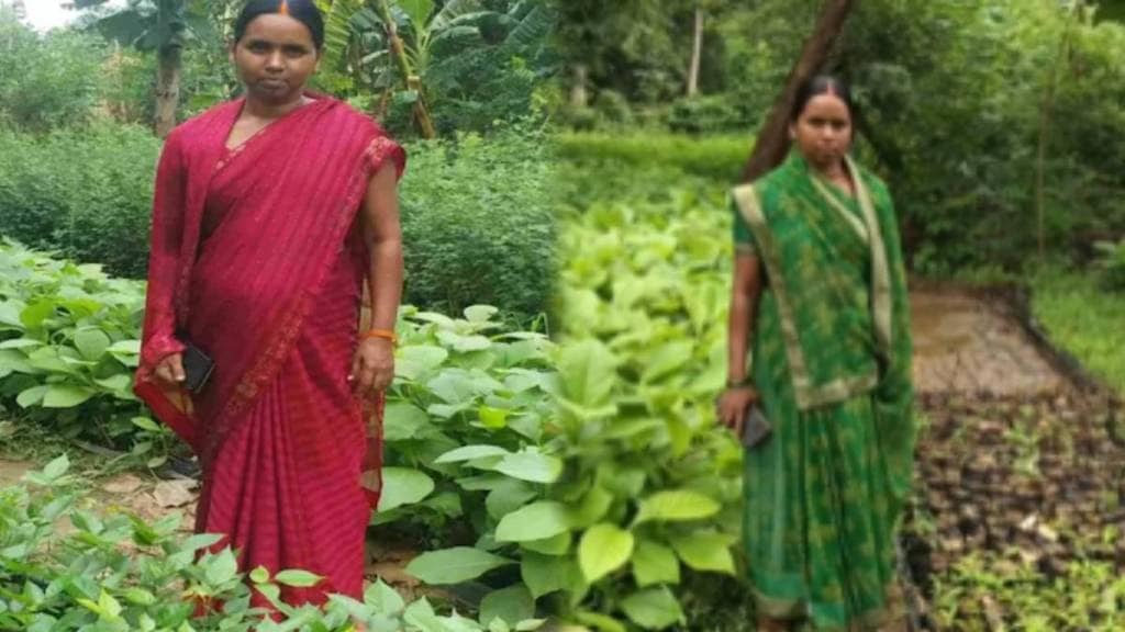 ruby kumari started a nursery