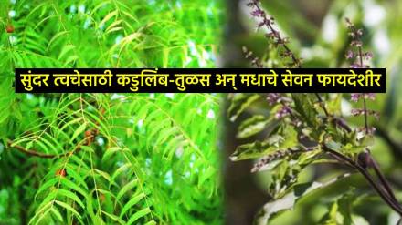 consume neem-tulsi and honey every morning