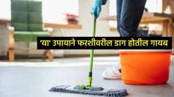 फरशीवरचे डाग झटक्यात होतील गायब, पाण्यात मिसळा फक्त ‘ही’ गोष्ट, आरशासारखी चमकेल फरशी