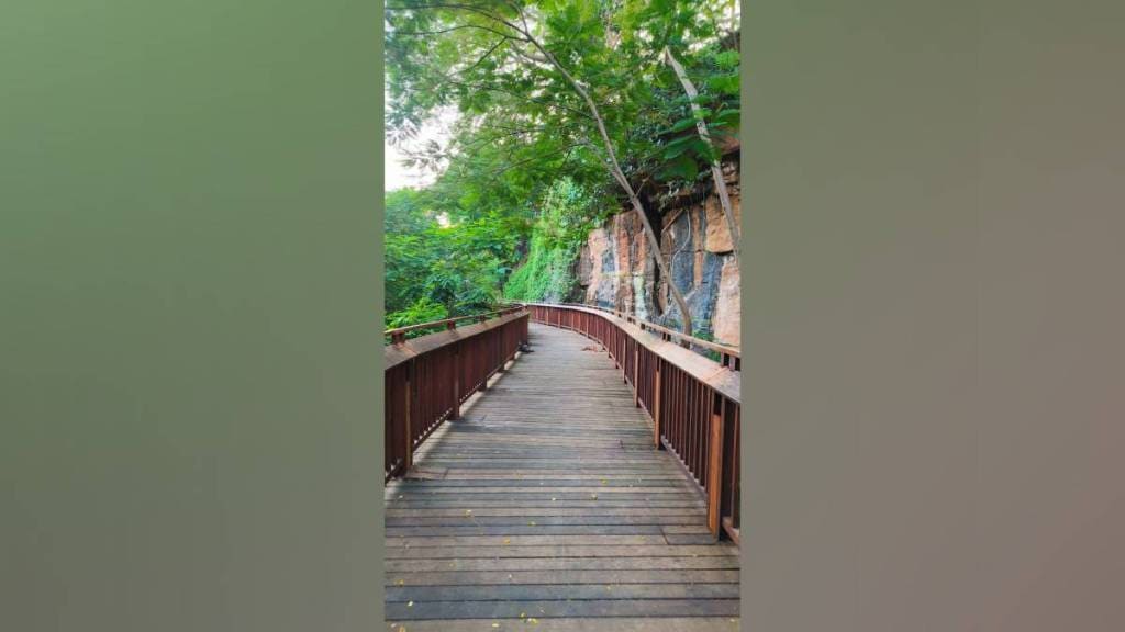 malabar hill nature trail visitors dropped