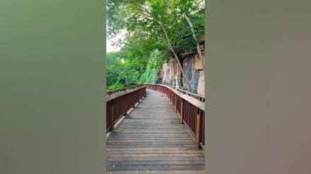 malabar hill nature trail visitors dropped