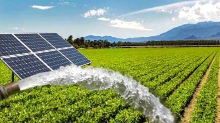 850 MW solar project under chief minister scheme 2 0 begins in Jalgaons agricultural sector