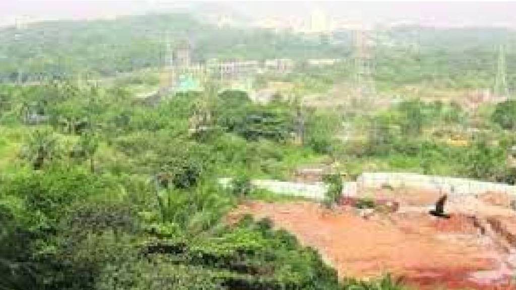 local tribals allege aarey development tramples constitutional rights causing injustice