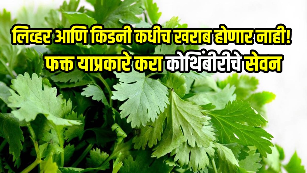 Benefits of coriander for liver kidney detox
