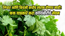 लिव्हर आणि किडनी कधीच खराब होणार नाही! कोलेस्ट्रॉलही होईल कमी; फक्त असे करा कोथिंबीरीचे सेवन, तज्ज्ञांनी दिली माहिती