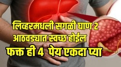 Liver fat: लिव्हरचं फॅट आणि सगळी घाण २ आठवड्यात स्वच्छ होईल; फक्त ही ४ पेय एकदा प्या