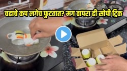 Kitchen Jugad: महिलांनो चहाचे कप आता अजिबात तुटणार नाहीत! फक्त ही एक गोष्ट करा; नव्यासारखे राहतील कप
